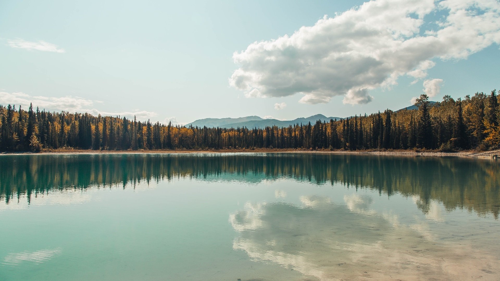 德里赫特，那道无法逾越的墙，让德甲争冠悬念一夜休止