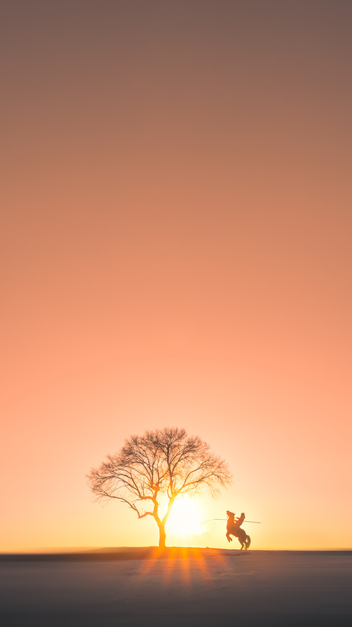 西甲国家德比与骑士横扫山西,体育焦点战的多维狂欢与自媒体视角下的激情解读
